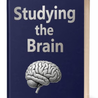 Mempelajari:Otak