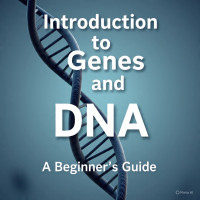 Pengantar:Gen:dan=DNA